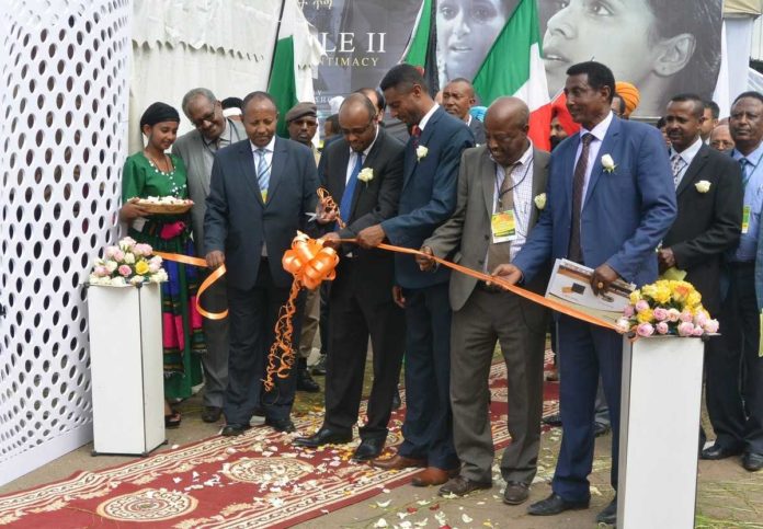 Addis-Abeba Fiera Addis Abeba