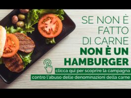 Basta all’uso di denominazioni della carne per indicare prodotti che di carne non contengono nulla! Uniceb - Uso denominazioni carne