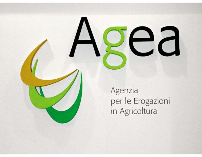 Premio macellazione vitelloni - AGEA Premio macellazione vitelloni - AGEA