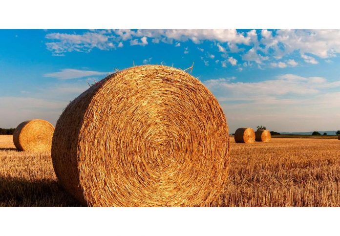 Riforma della Politica Agricola Comune Riforma della Politica Agricola Comune