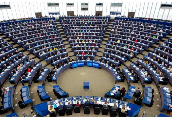 Benessere animale in allevamento - Parlamento UE approva relazione Benessere animale in allevamento - Parlamento UE approva relazione
