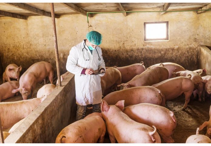 Modifiche al Regolamento UE che riconosce le zone indenni dei Paesi membri per le malattie animali Modifiche al Regolamento UE che riconosce le zone indenni dei Paesi membri per le malattie animali