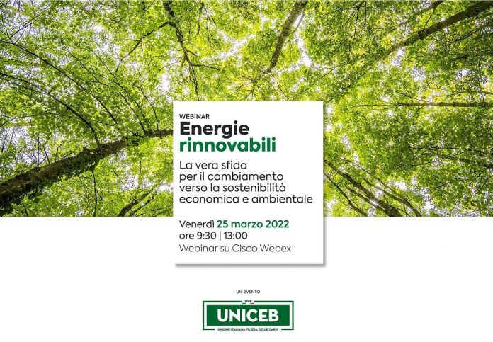 Energie rinnovabili - La vera sfida per il cambiamento verso la sostenibilità economica e ambientale Energie rinnovabili - La vera sfida per il cambiamento verso la sostenibilità economica e ambientale