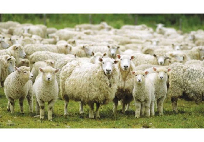 Movimentazioni di bovini e ovi-caprini da zone non ufficialmente indenni verso zone ufficialmente indenni Movimentazioni di bovini e ovi-caprini da zone non ufficialmente indenni verso zone ufficialmente indenni