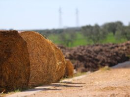 Fondo europeo per competitività: dichiarazione congiunta su ruolo centrale agricoltura Fondo europeo per competitività: dichiarazione congiunta su ruolo centrale agricoltura