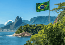 Brasile – Positivo audit della Commissione UE per le carni di pollame Brasile - Positivo audit della Commissione UE per le carni di pollame - Si auspica a breve riapertura mercato
