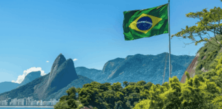 Brasile – Positivo audit della Commissione UE per le carni di pollame Brasile - Positivo audit della Commissione UE per le carni di pollame - Si auspica a breve riapertura mercato