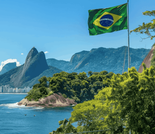 Brasile – Positivo audit della Commissione UE per le carni di pollame Brasile - Positivo audit della Commissione UE per le carni di pollame - Si auspica a breve riapertura mercato