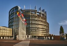 Mercosur – Nuova azione sui Servizi della Commissione in merito al rilascio della certificazione di origine Mercosur - Nuova azione sui Servizi della Commissione in merito al rilascio della certificazione di origine