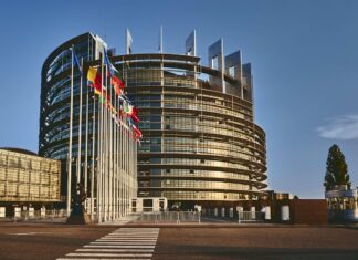 Mercosur – Nuova azione sui Servizi della Commissione in merito al rilascio della certificazione di origine Mercosur - Nuova azione sui Servizi della Commissione in merito al rilascio della certificazione di origine