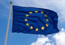 Regolamento EUDR – Disponibili le FAQ della Commissione europea in Italiano Regolamento EUDR – Disponibili le FAQ della Commissione europea in Italiano
