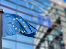EUDR – Pubblicata la nuova guida operativa della Commissione europea EUDR – Pubblicata la nuova guida operativa della Commissione europea